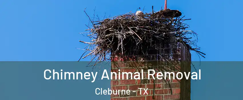Chimney Animal Removal Cleburne - TX