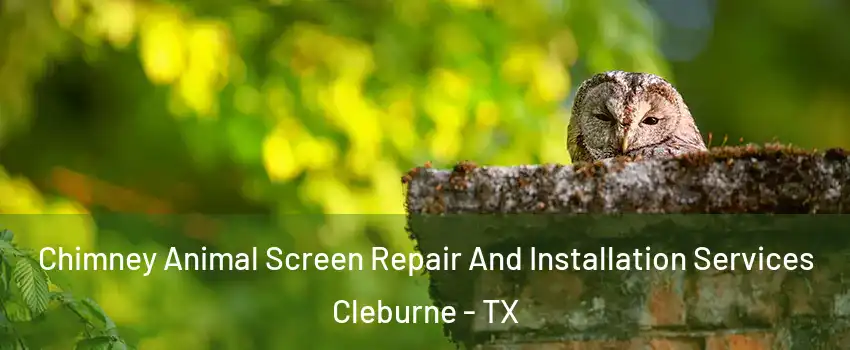  Chimney Animal Screen Repair And Installation Services Cleburne - TX