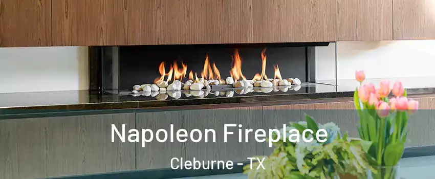  Napoleon Fireplace Cleburne - TX