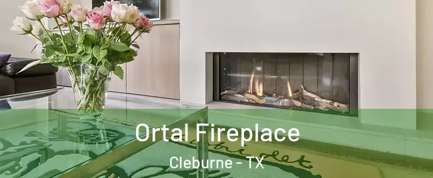 Ortal Fireplace Cleburne - TX